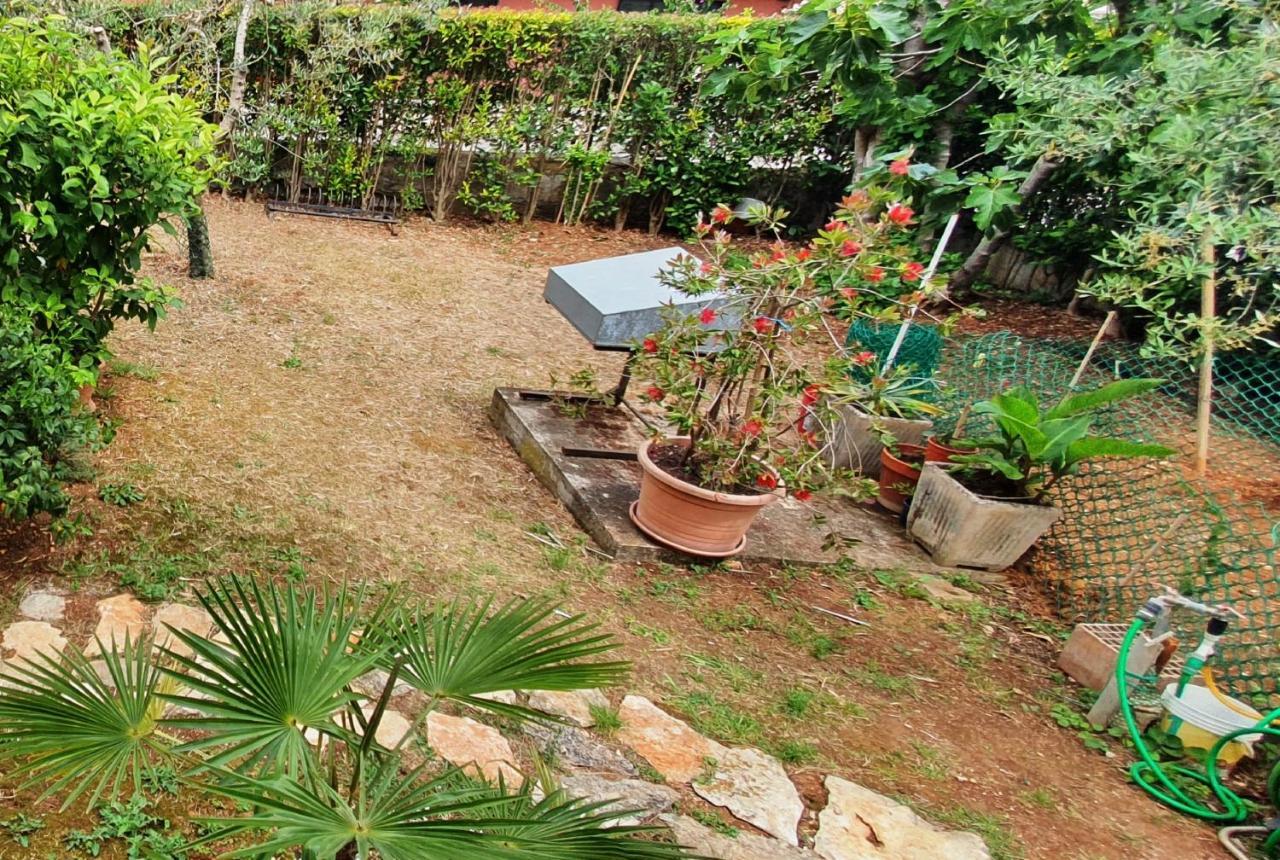 Cecillia Mare Apartments โรวีน ภายนอก รูปภาพ